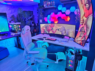 Gaming room setup.